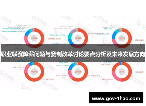 职业联赛降薪问题与赛制改革讨论要点分析及未来发展方向