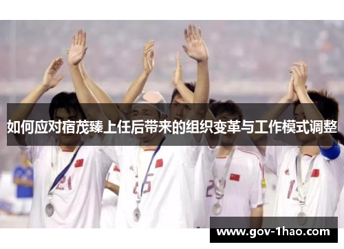如何应对宿茂臻上任后带来的组织变革与工作模式调整