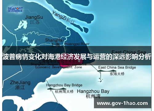 波普病情变化对海港经济发展与运营的深远影响分析