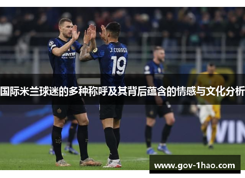 国际米兰球迷的多种称呼及其背后蕴含的情感与文化分析