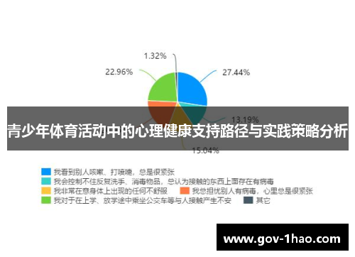 青少年体育活动中的心理健康支持路径与实践策略分析